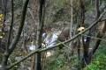 CRW_5788_34.JPG