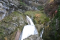 CRW_5790_35.JPG