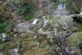 CRW_5792_37.JPG
