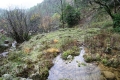 CRW_5795_40.JPG