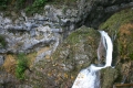 CRW_5801_46.JPG