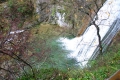 CRW_5803_48.JPG