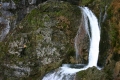 CRW_5805_49.JPG