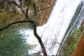 CRW_5807_51.JPG