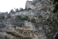 CRW_5808_52.JPG