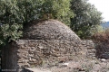 10102009-IMG_2734.jpg