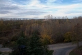 15112009-IMG_4284.jpg