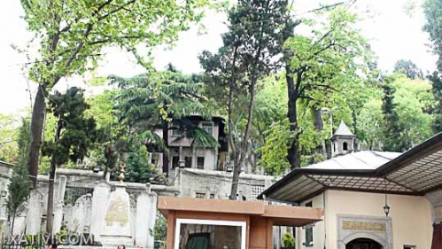 Spauskite peržiūrėti tikro dydžio
