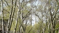 ფაილი: 26042010-_SC01396.jpg
ფაილის ზომა: 117კბ
ზომები: 540x304
თარიღი:მაი 21, 2011 26042010-_SC01396.jpg