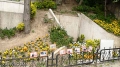 DSC00146.jpg