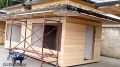DSC00161.jpg