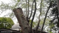 DSC00180.jpg