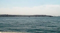 DSC01303.jpg