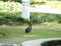 DSC01312.jpg