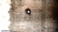 DSC01348.jpg