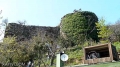 DSC01354.jpg