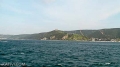 DSC01356.jpg