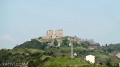 DSC01361.jpg