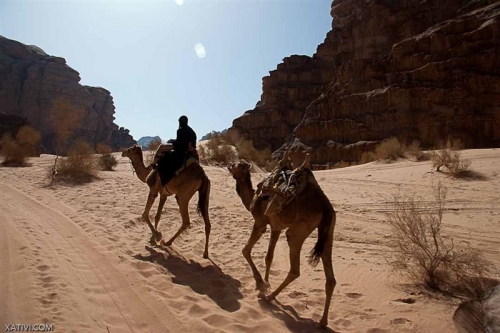 اضغط لتكبيـر الصورة