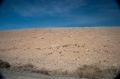 שם הקובץ=23012011-23012011-CRW_7444.jpg
גודל הקובץ=82ק 23012011-23012011-CRW_7444.jpg