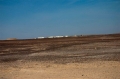 שם הקובץ=23012011-23012011-CRW_7445.jpg
גודל הקובץ=81ק 23012011-23012011-CRW_7445.jpg