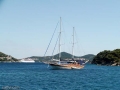 Dateiname : DUBROVNIK-144.jpg
Dateigröße : 63KB
Abmessungen : 600x450
hinzugefügt am : 11.Juli 2011 DUBROVNIK-144.jpg