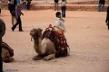 اسم الملف=PETRA-147.jpg
حجم الملف=53كيلوبايت
الأبعاد=600x400
تاريخ الإضافه=Jul 11, 2011 PETRA-147.jpg