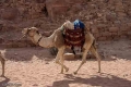 Jméno souboru : PETRA-263.jpg
Velikost souboru : 58KB
Rozměry : 600x400
Datum přidání : Červenec 11, 2011 PETRA-263.jpg