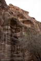 Ffeil=PETRA-46.jpg
Maint=54KB
Dimensiynau=400x600
Dyddiad ychwanegu=11.Gor 2011 PETRA-46.jpg