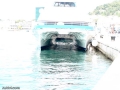 SPLIT-15.jpg