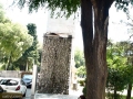 SPLIT-180.jpg