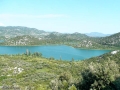 SPLIT-183.jpg